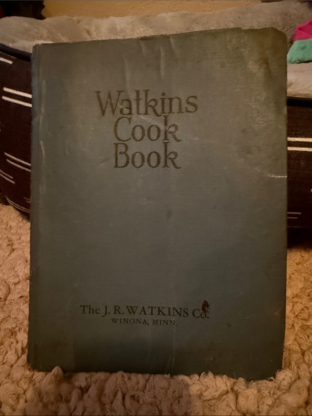 VINTAGE Watkins Cookbook J R Watkins Co RARE Collectible 1943 WINONA, MINN